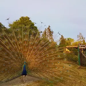  Alloggio per agriturismo Podere Asche